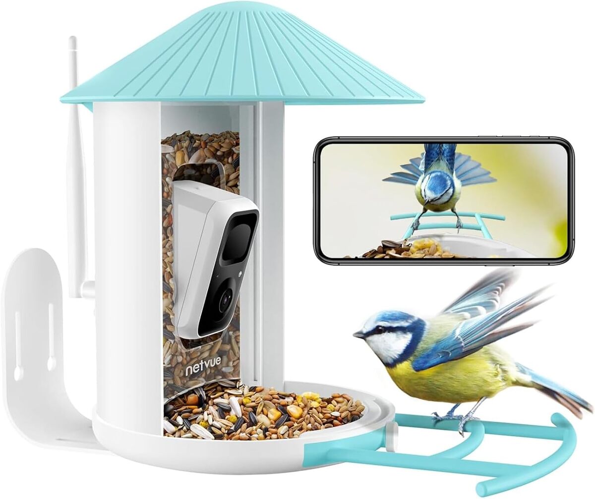Test de la mangeoire connectée Netvue Birdfy : surveillance des oiseaux en temps réel