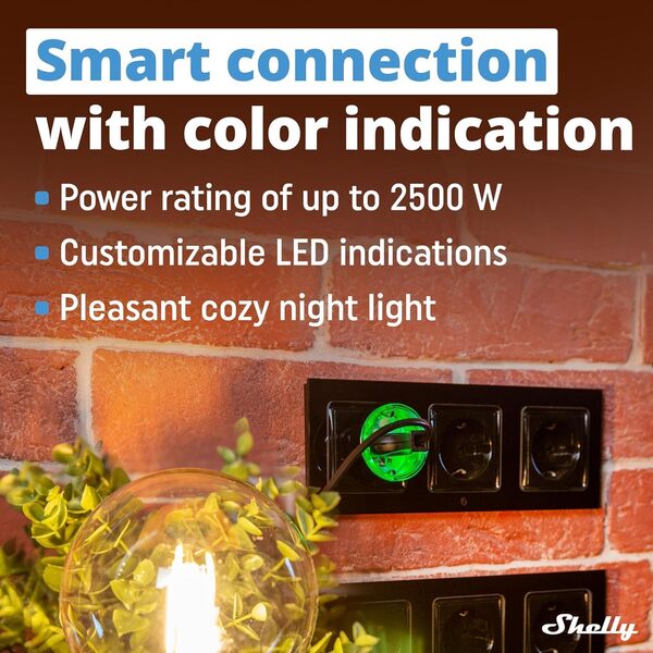 SHELLY Prise Wifi Plus Plug S 12A Fonction de Mesure Noir 5 Pièces