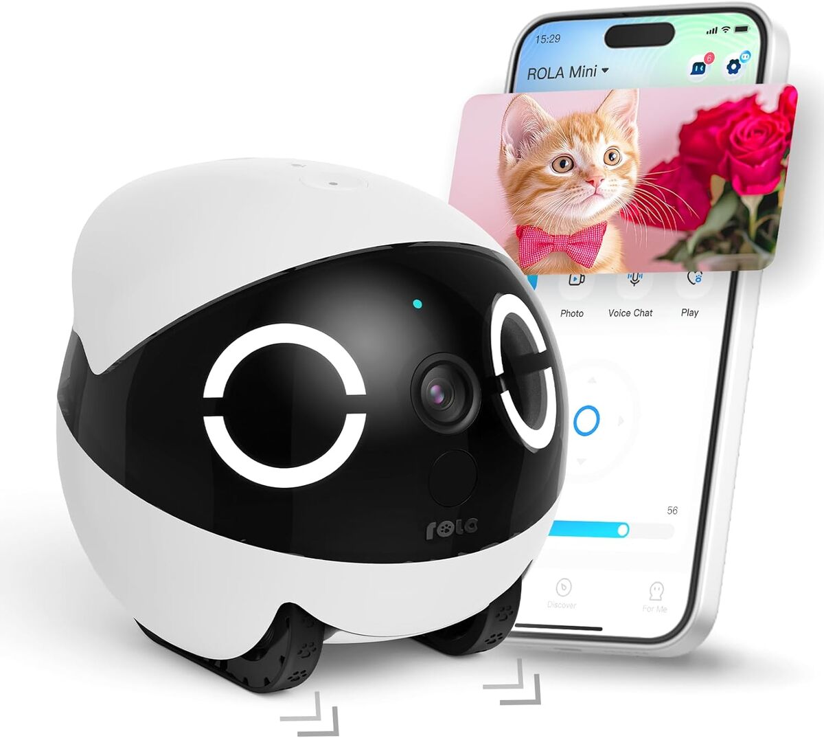 Test Enabot EBO ROLA Mini : caméra robot pour animaux 2K